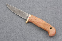 Нож "Грибник-2", ХВ-5, карельская береза  