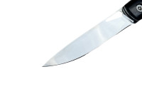 Складной нож "Стрела" - 2, N690, чёрный граб  